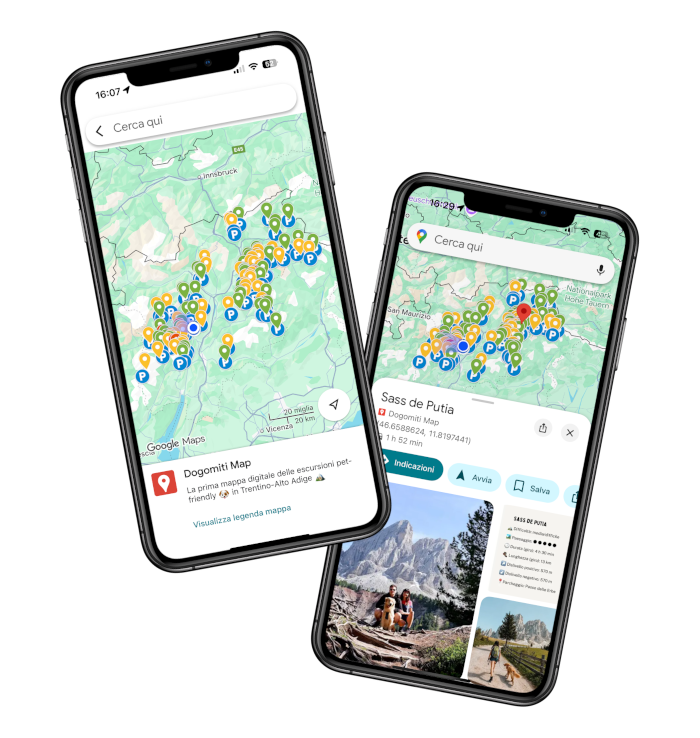 Integrazione Google Maps
